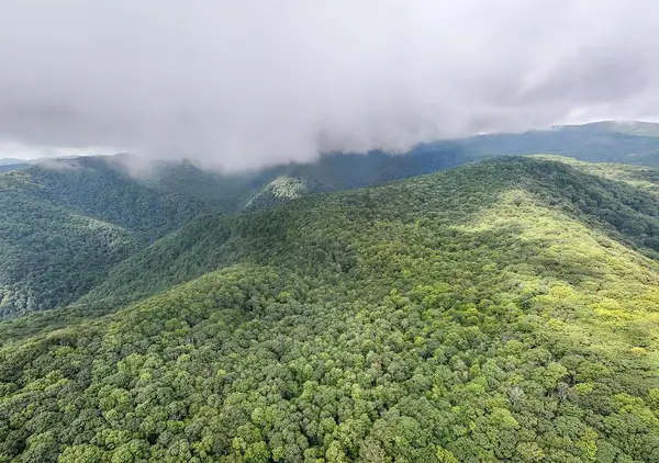 00 Huffman Creek Road, Robbinsville, NC 28771