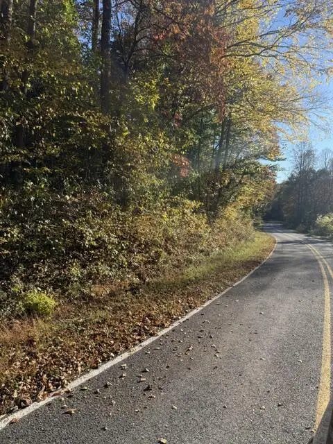 LOT 1 Henson Road, Hayesville, NC 28904 - #1