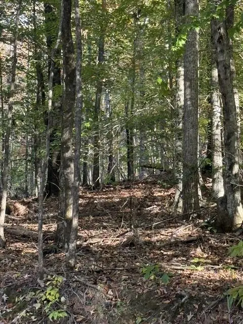 LOT 3 Henson Road, Hayesville, NC 28904 - #2