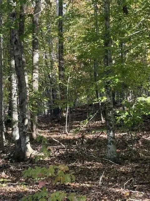 LOT 3 Henson Road, Hayesville, NC 28904 - #3