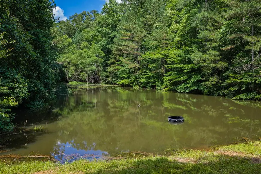 1215 Crossroads Church Road, Ellijay, GA 30540 - #3