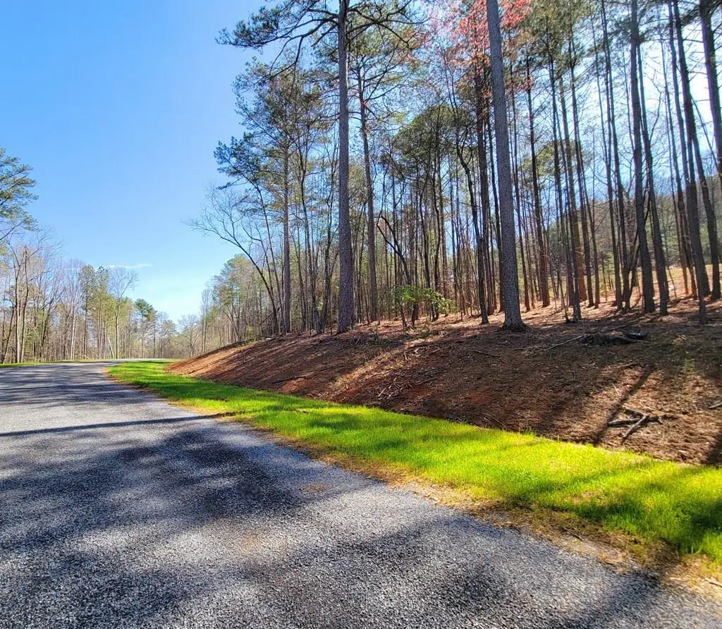 191 Mountaingate Way, Ellijay, GA 30536 - #1