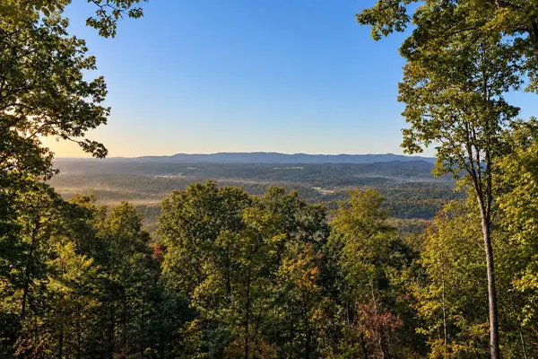 LT 33 Pheasant Tail Trace, Ellijay, GA 30536