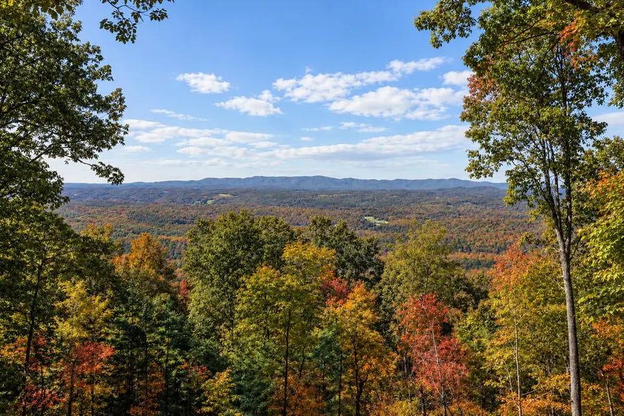 LT 33 Pheasant Tail Trace, Ellijay, GA 30536 - #3