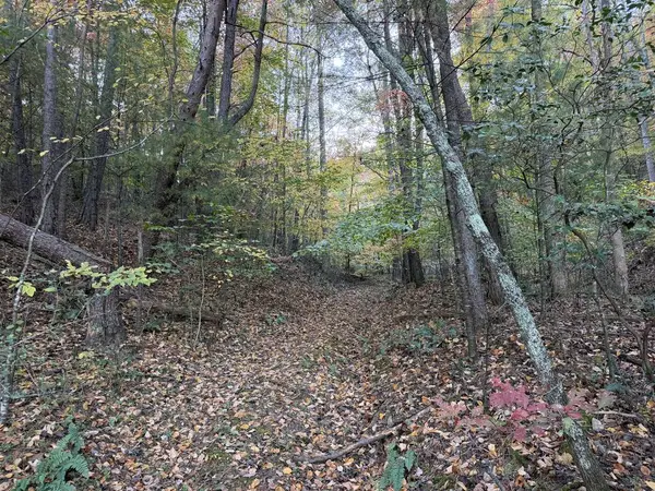 2067 Qualla Road, Hayesville, NC 28904