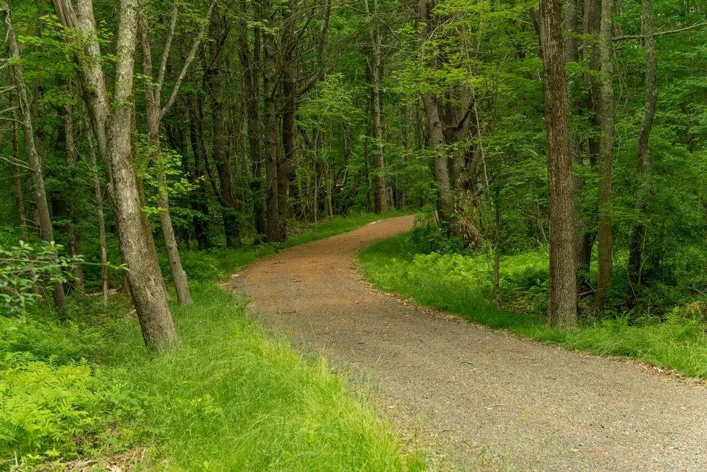 2 Lils Alley, York, ME 03909 - #1