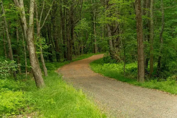 2 Lils Alley, York, ME 03909