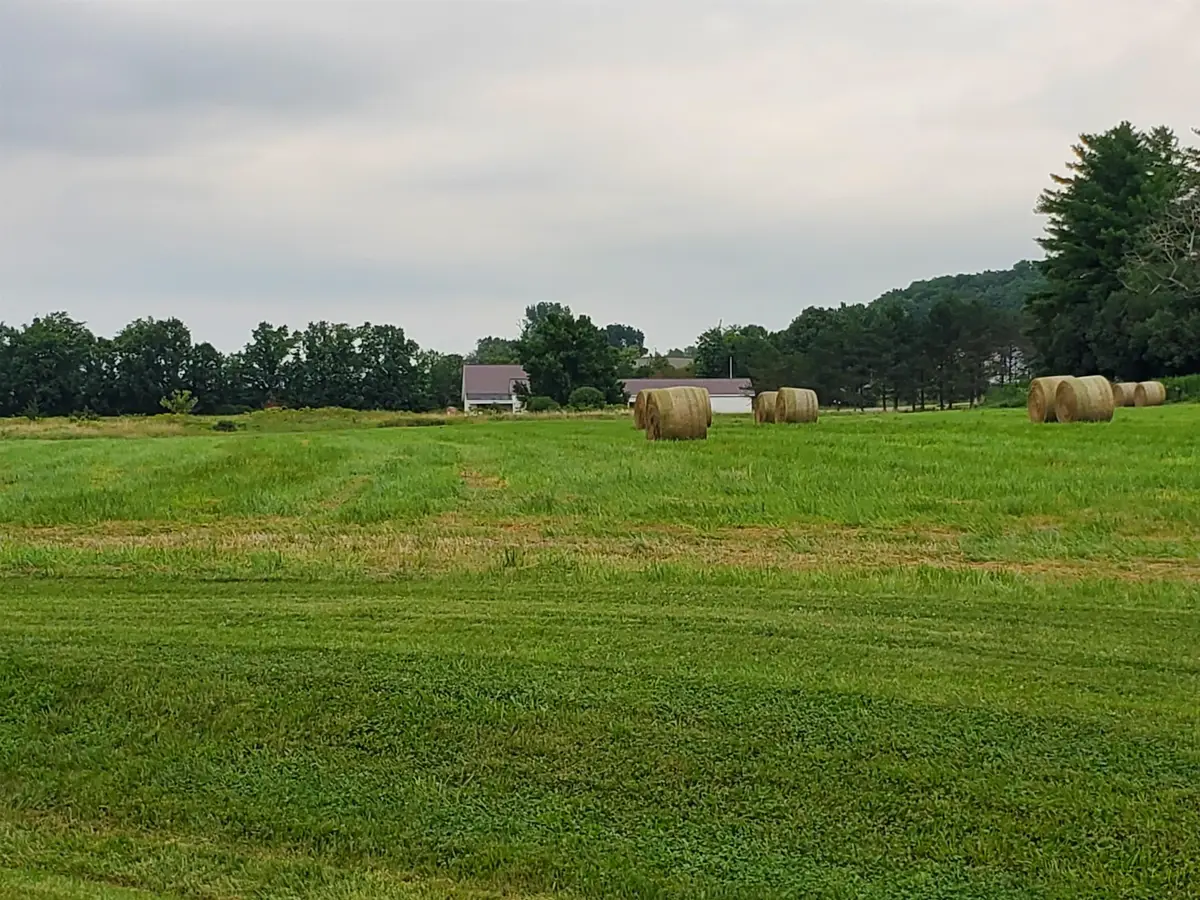 TBD Park Lane, Ferrisburgh, VT 05456 - #1