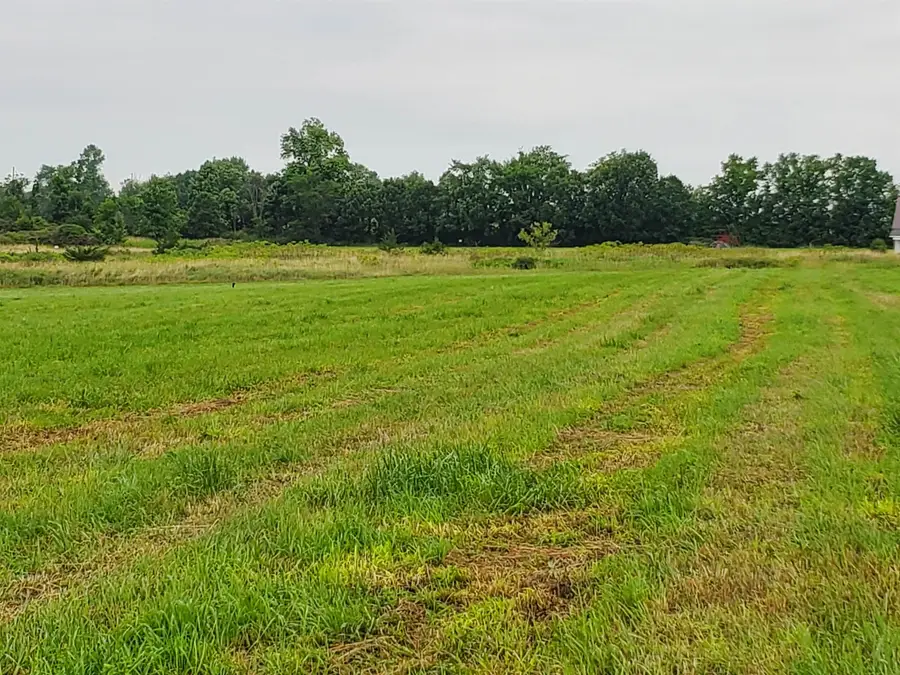 TBD Park Lane, Ferrisburgh, VT 05456 - #2