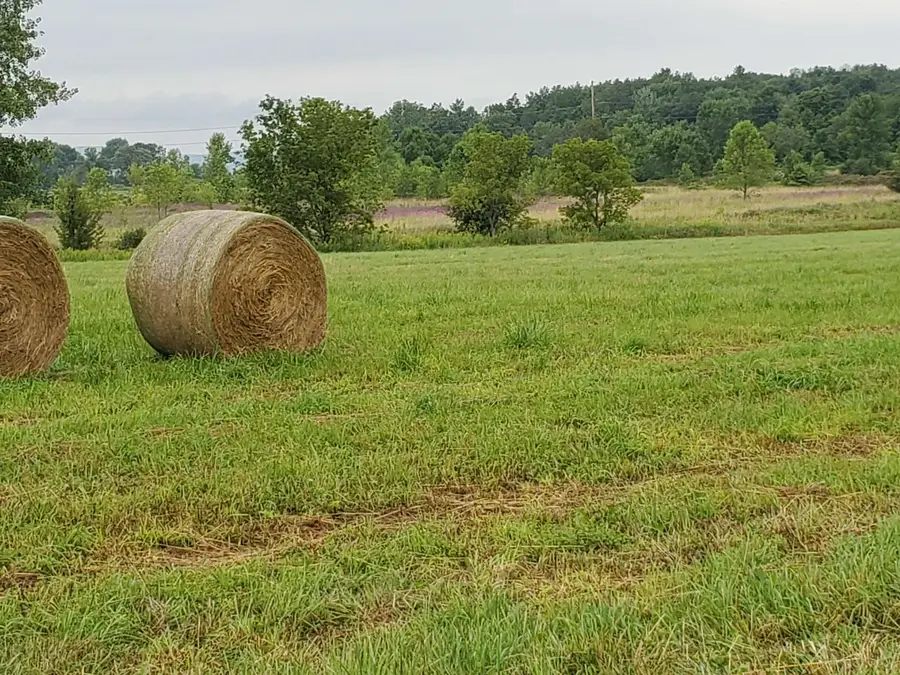 TBD Park Lane, Ferrisburgh, VT 05456 - #3