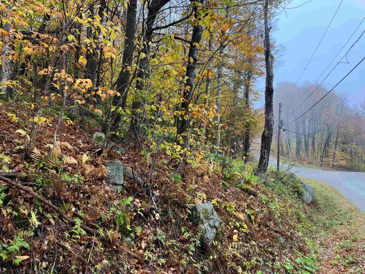 564 Upper Dam Road #M564 & M565, Wilmington, VT 05363-0253 - #1