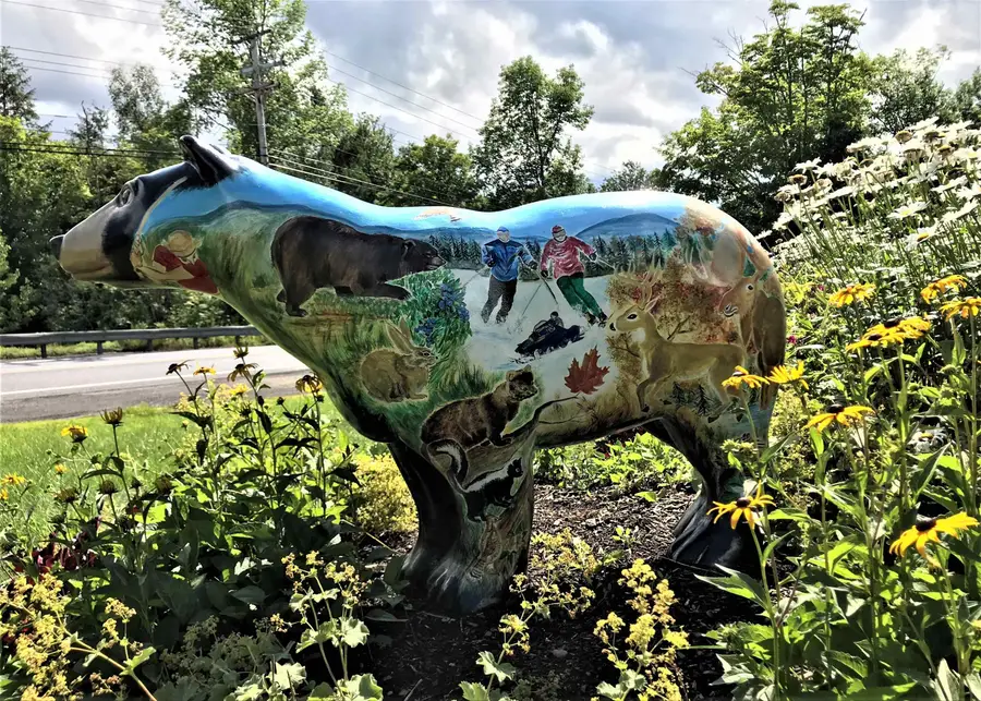 564 Upper Dam Road #M564 & M565, Wilmington, VT 05363-0253 - #3