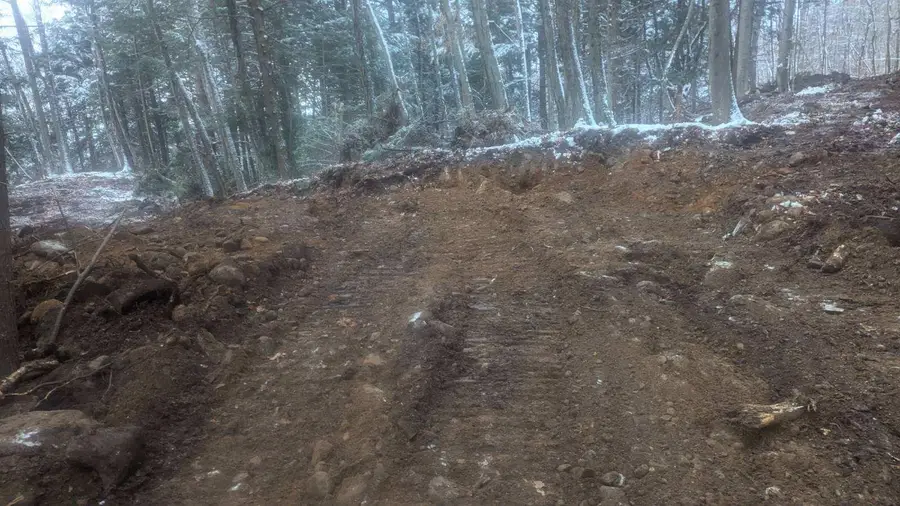 #3