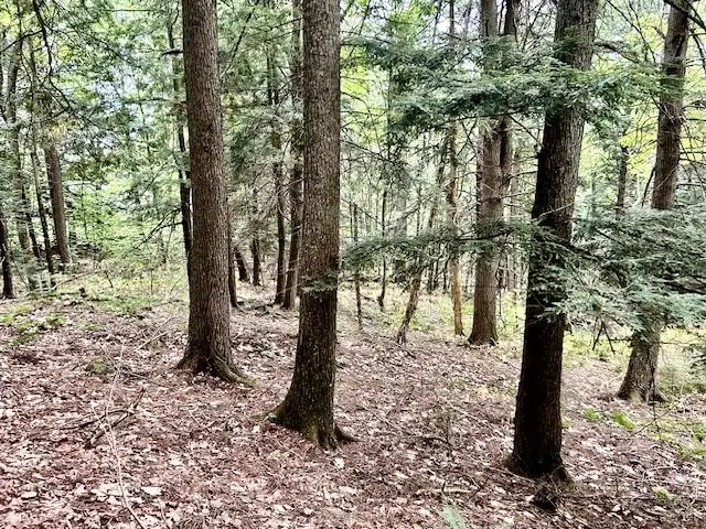 #2