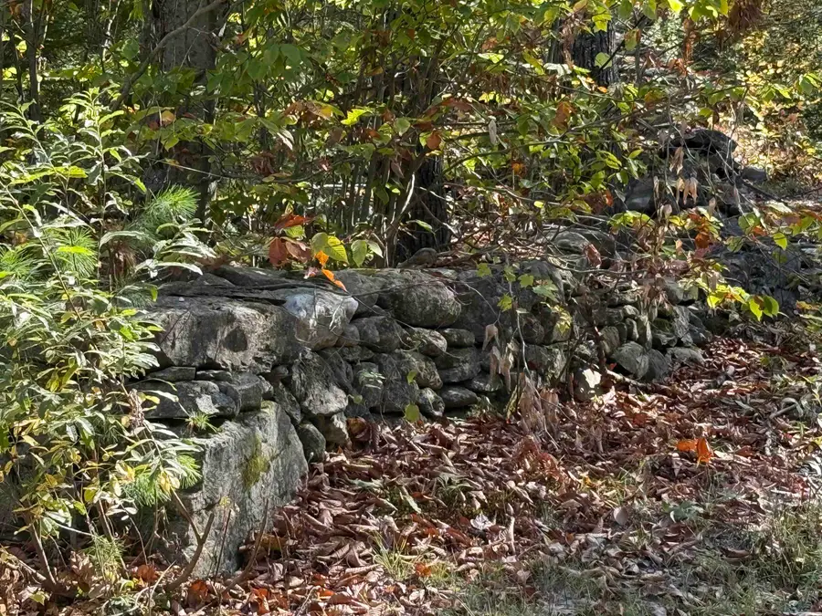 2610 Lower Dover Road, Marlboro, VT 05344 - Image #3