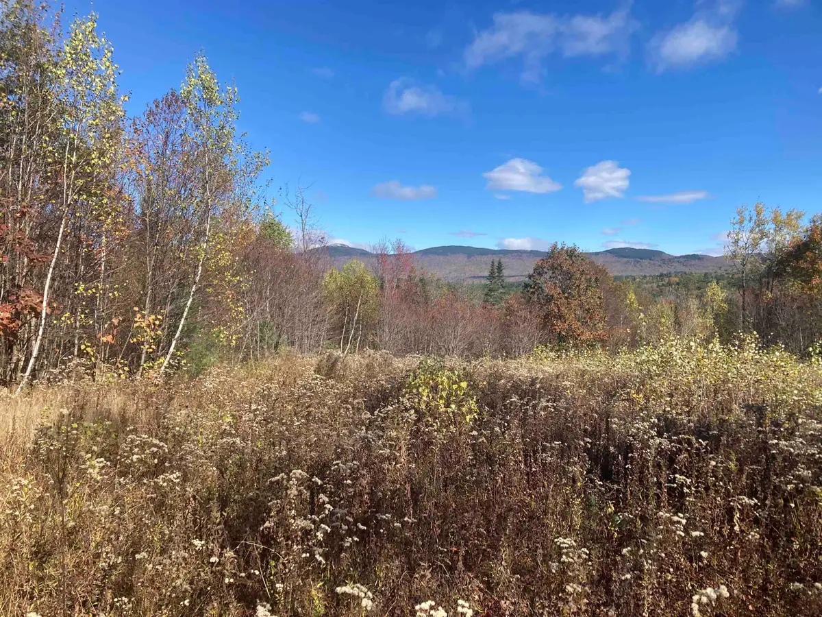 414 Turnpike Road, Grafton, NH 03240 - #1