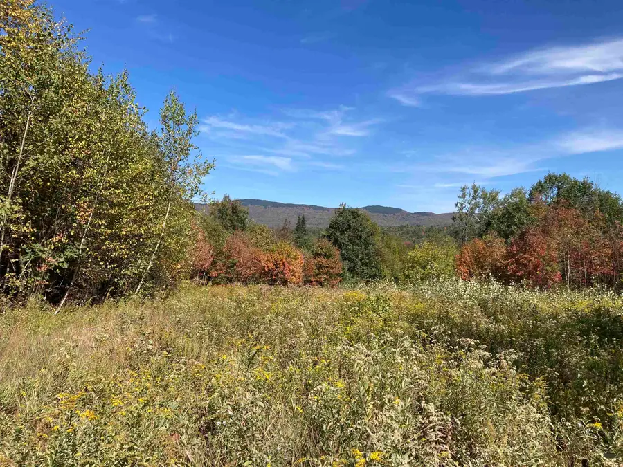 414 Turnpike Road, Grafton, NH 03240 - #3