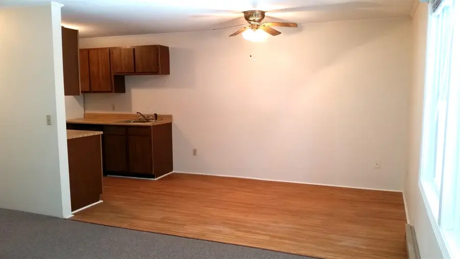 204 Mechanic Street #12, Lebanon, NH 03766 - Image #3