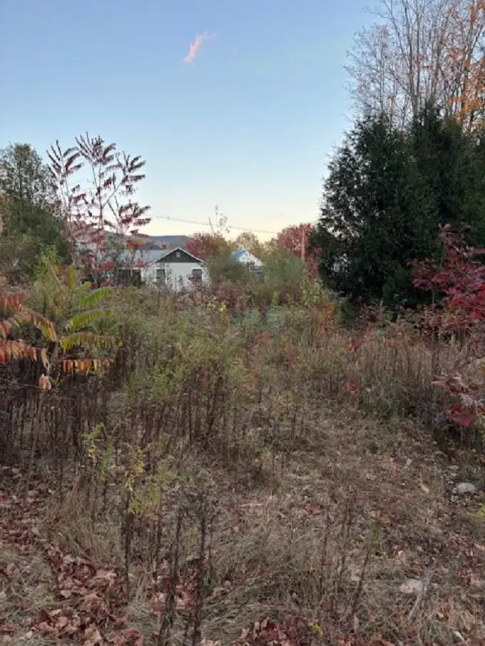 0 Pleasant Street, Lincoln, NH 03251 - Image #3