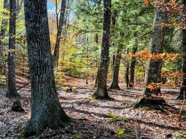 29&31 White Brook Road, Gilsum, NH 03448 - Image #1