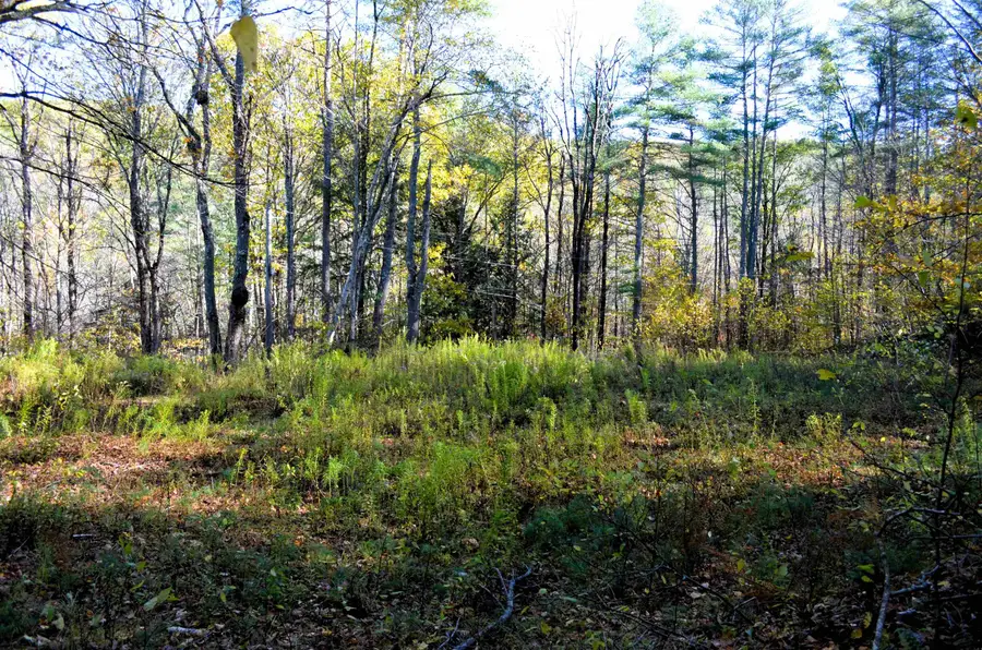 29&31 White Brook Road, Gilsum, NH 03448 - Image #2