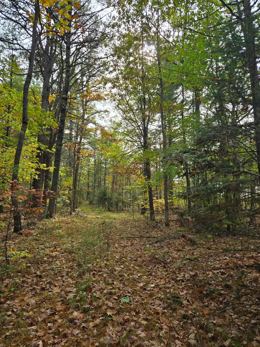 133 Plantation Lane, Brownfield, ME 04010 - #2