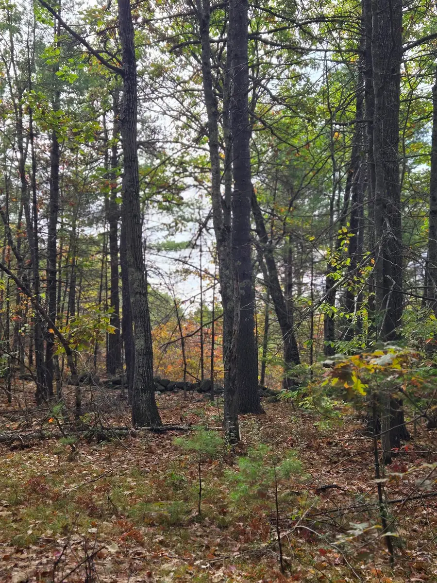 133 Plantation Lane, Brownfield, ME 04010 - #3