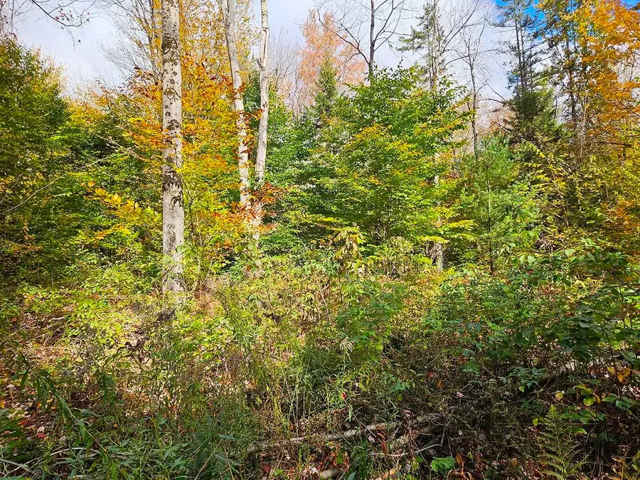 0 Oberland Valley Road, Montgomery, VT 05471 - Image #3