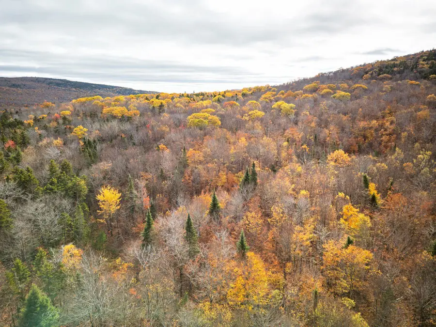 00 Orange Road, Alexandria, NH 03222 - Image #2