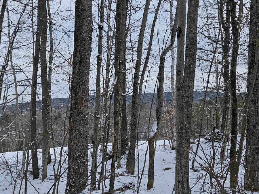 47 Highbridge Road, Lyme, NH 03768 - Image #2