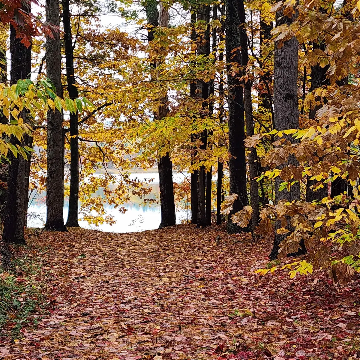 14 Emerald Lane, Tilton, NH 03276 - Image #1