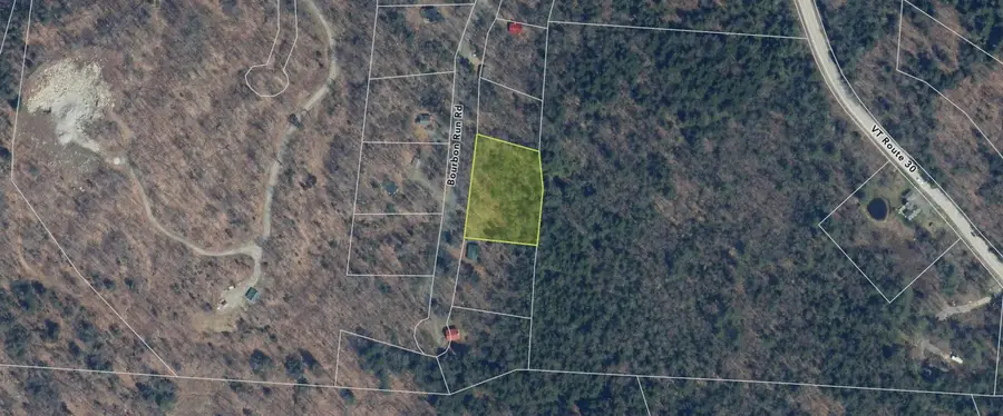 Bourbon Run Road, Jamaica, VT 05343 - Image #3