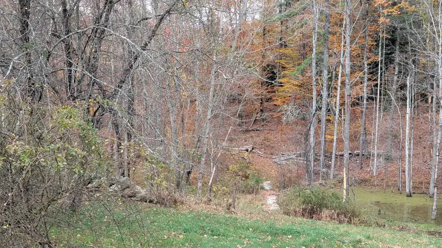 281  Hodgdon Road, Weare, NH 03281 - Image #3