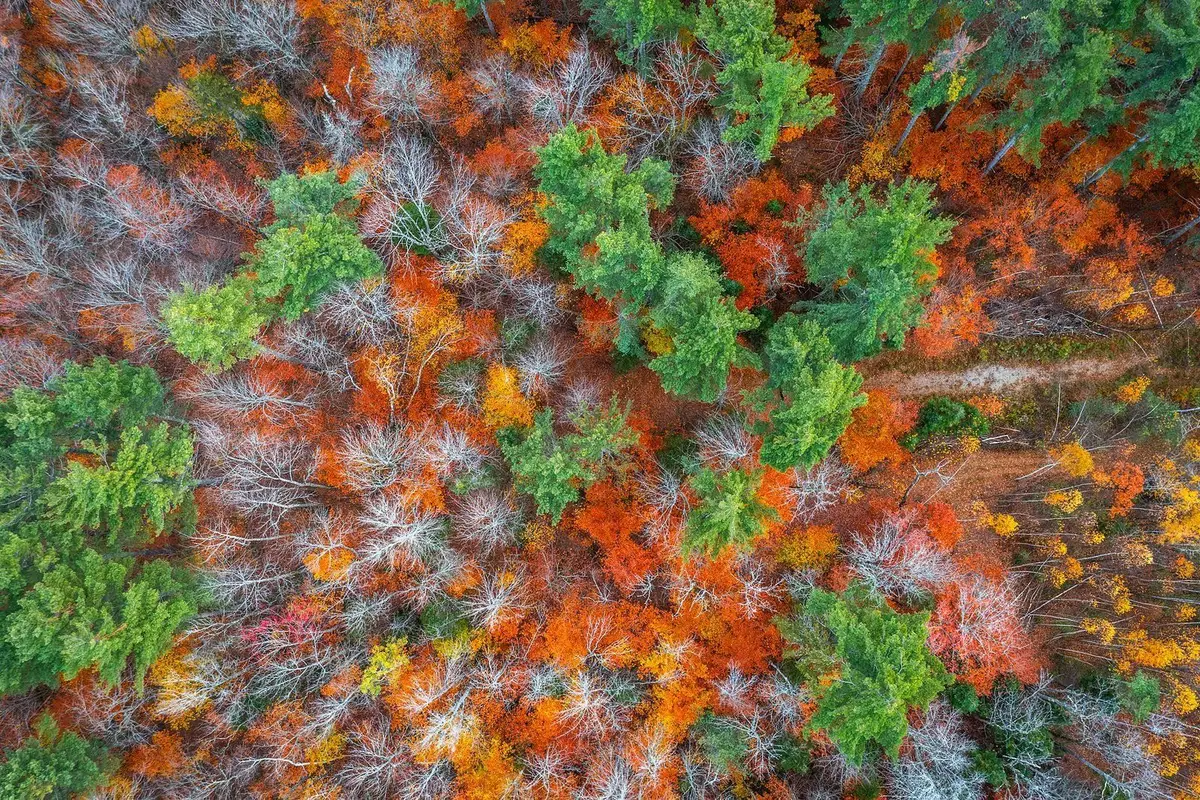 590 Howard Hill Road, Londonderry, VT 05148 - Image #1