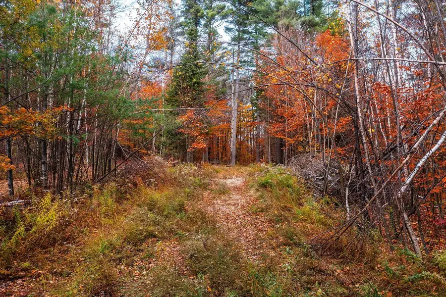 590 Howard Hill Road, Londonderry, VT 05148 - Image #2