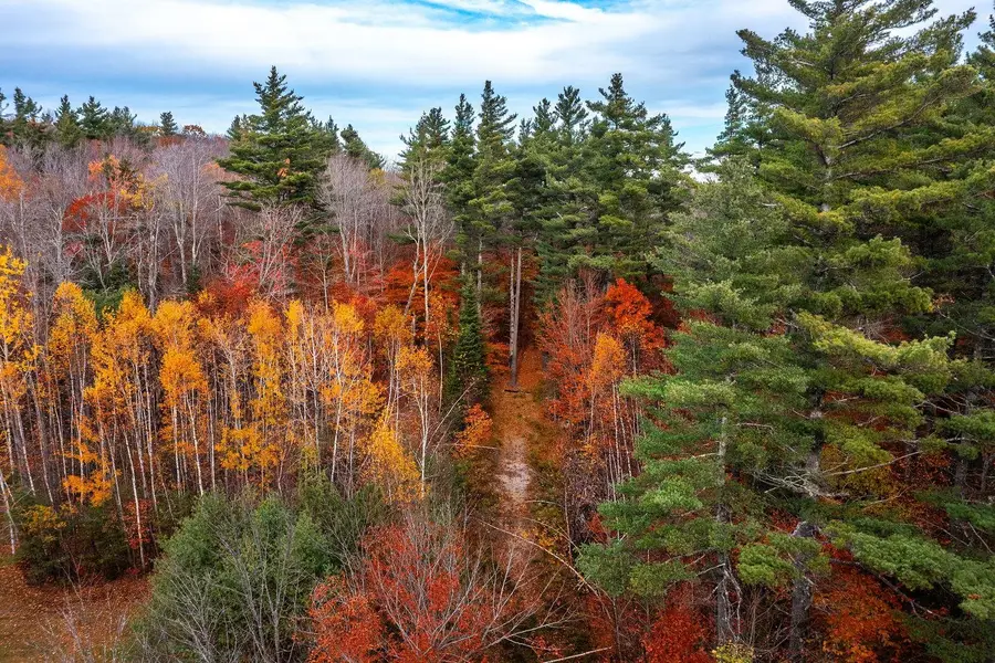 590 Howard Hill Road, Londonderry, VT 05148 - Image #3