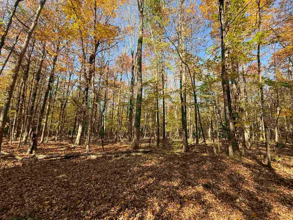 1414 Collins Mill Road, Newport Town, VT 05857