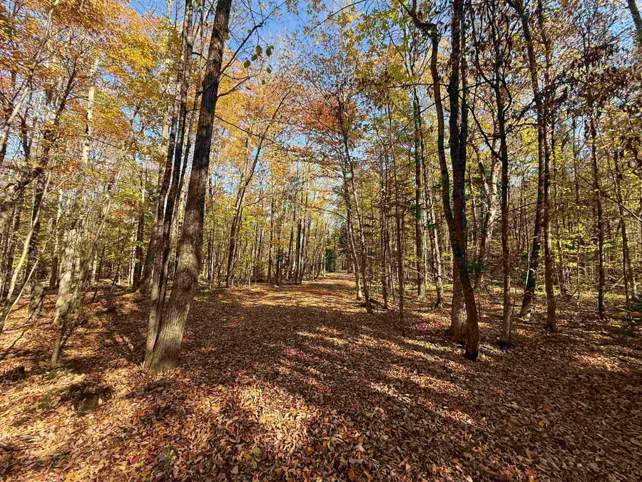 1414 Collins Mill Road, Newport Town, VT 05857 - Image #2