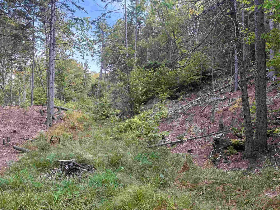 0 Beaver Meadow Road, Roxbury, VT 05669 - Image #2