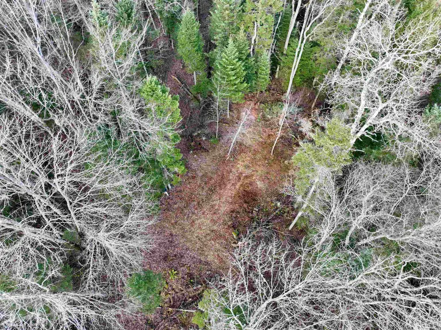 00 Moose Trail Road, Bethlehem, NH 03574 - Image #3