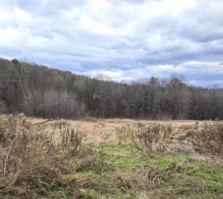 3531 Dairy Hill Road, Tunbridge, VT 05077 - Image #2