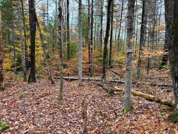 0 Washington Drive, Washington, NH 03280