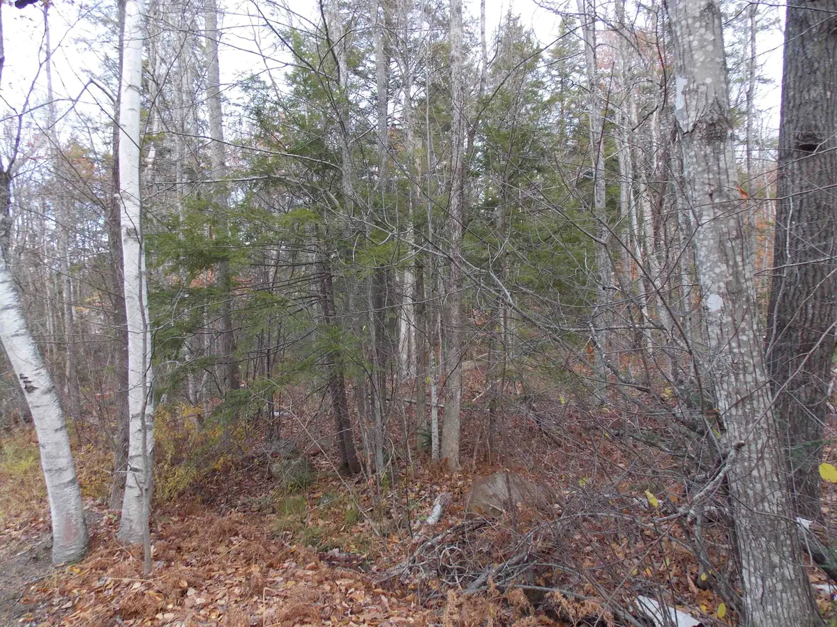 Lot 49 Mittenwald Strasse Road, Bartlett, NH 03812 - Image #1