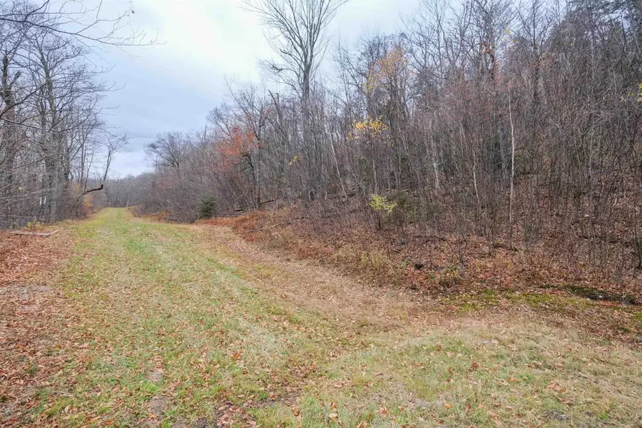 0 Mountain Road, Ludlow, VT 05149 - Image #3