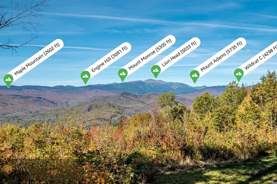 46 Alpine Drive, Jackson, NH 03846 - Image #3