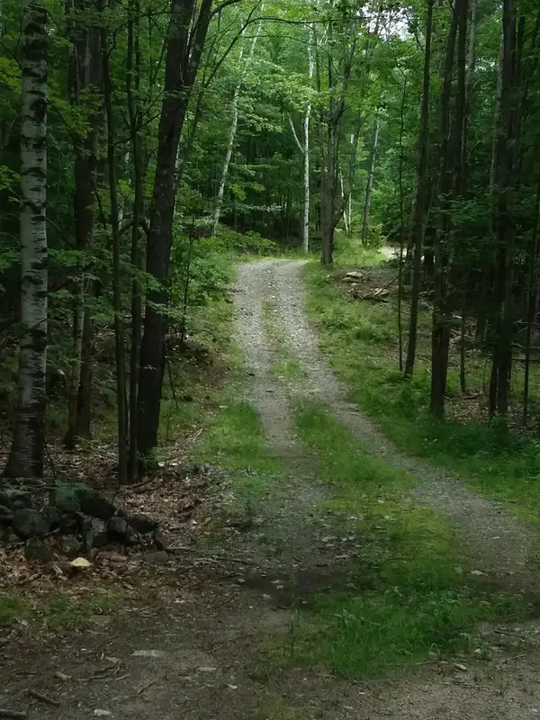 00 Old Wolfeboro Road, Alton, NH 03809