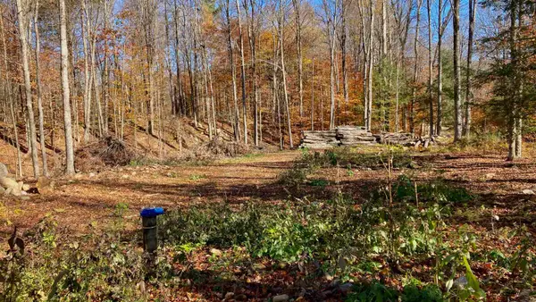 00 Lower Middle Road #11, Chittenden, VT 05763