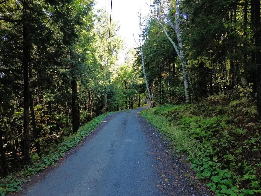 350 Anne Burns Road #19 & 20, Warren, VT 05674 - Image #2