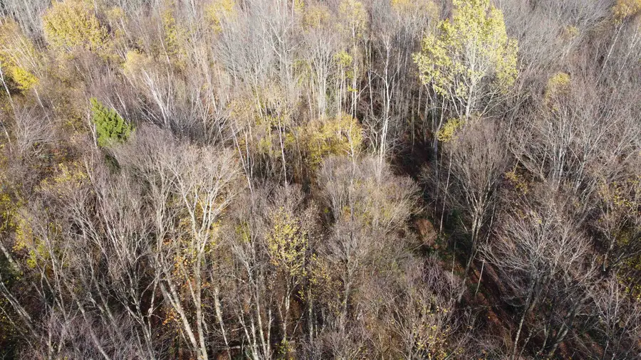 2098 Kinney Hill Road, Newark, VT 05871 - Image #3