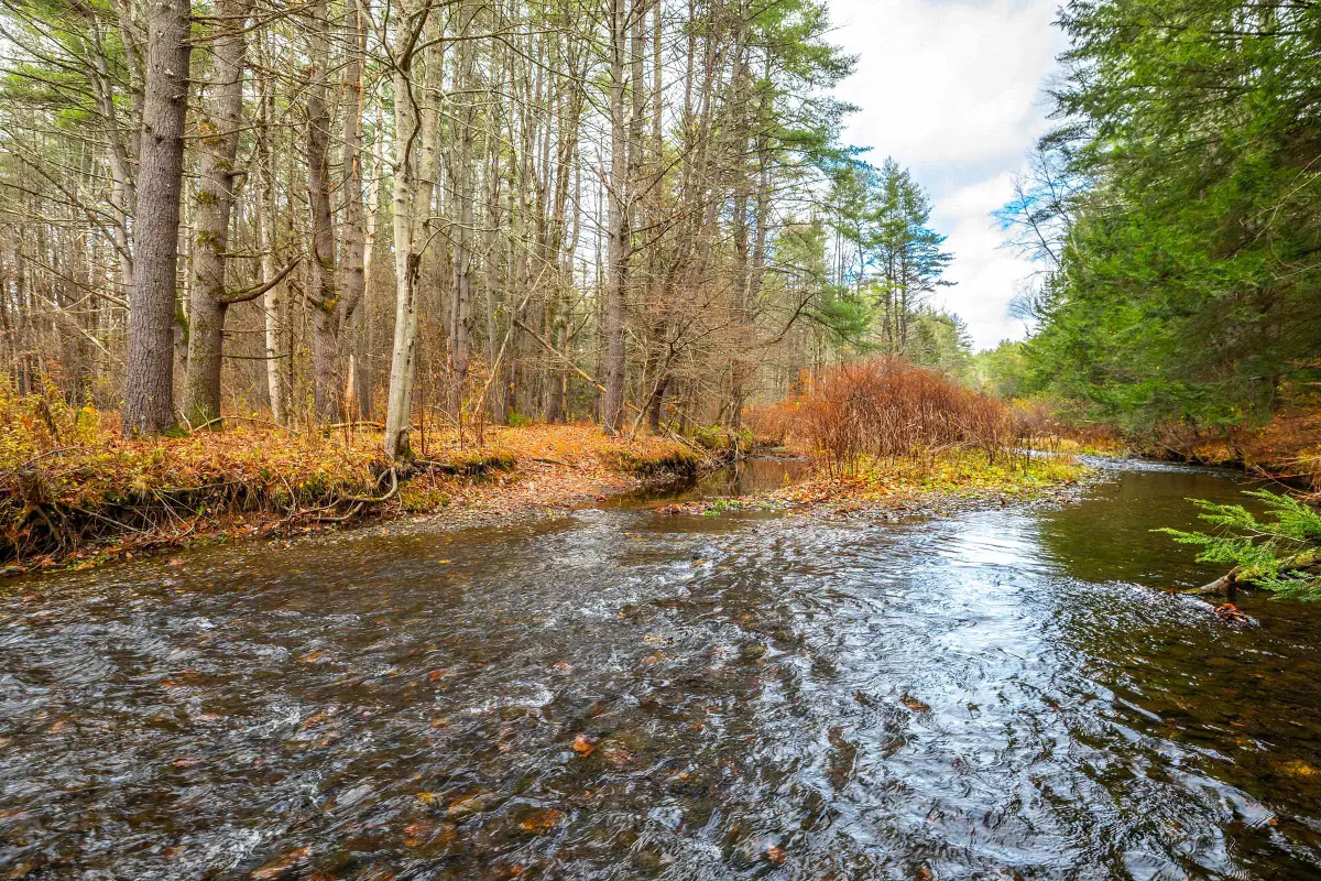 40 E Putney Brook Road, Putney, VT 05346 - Image #1